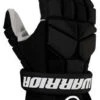 Warrior 2022 Fatboy Ball Hockey Gloves -Best Hockey Store FBG BK 1cdcb7f3 3ef4 4d23 9b44 ce1a4ac20b3e